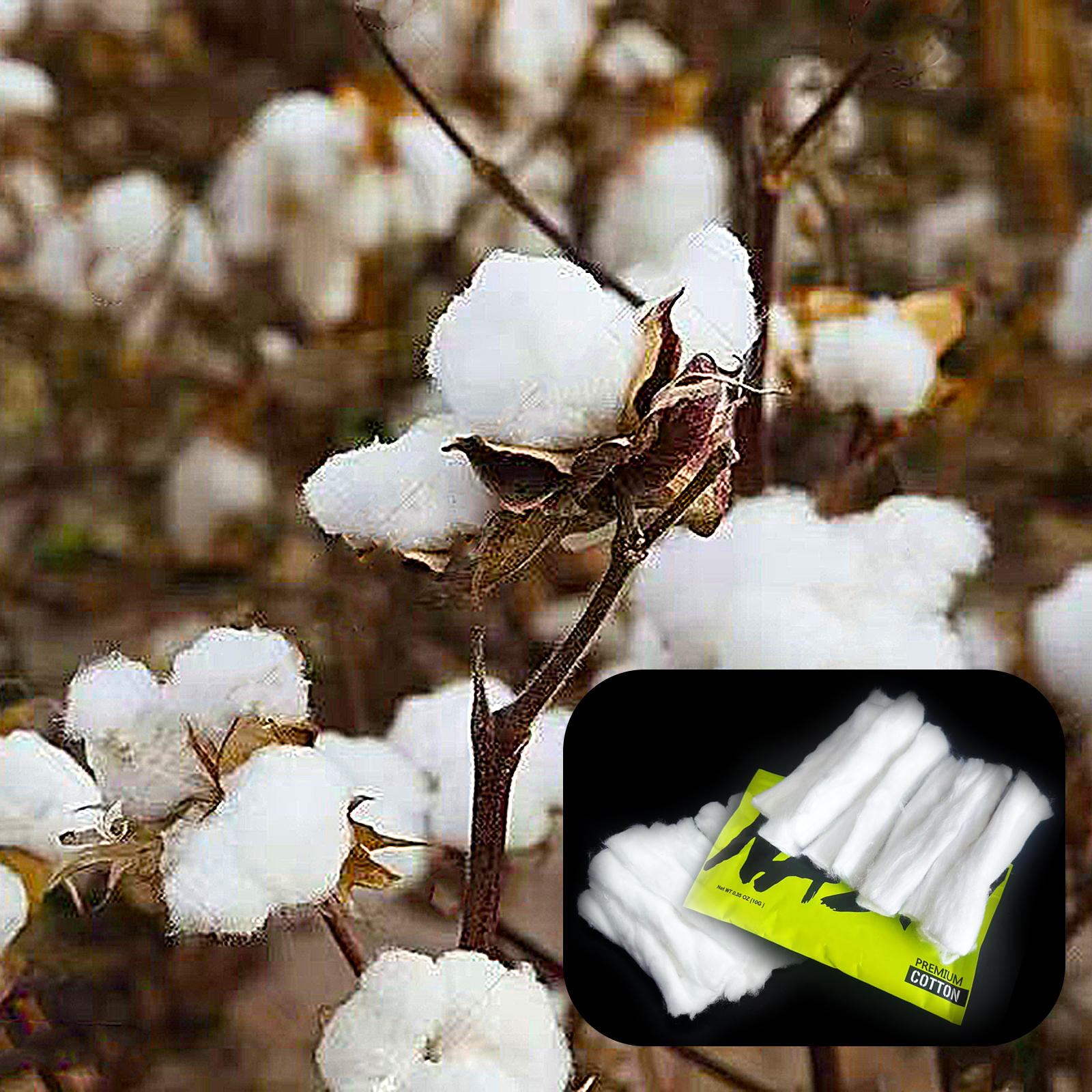 Cotton Wick Organic - 10/5/3팩 홈 DIY 천연 코튼 스파이럴