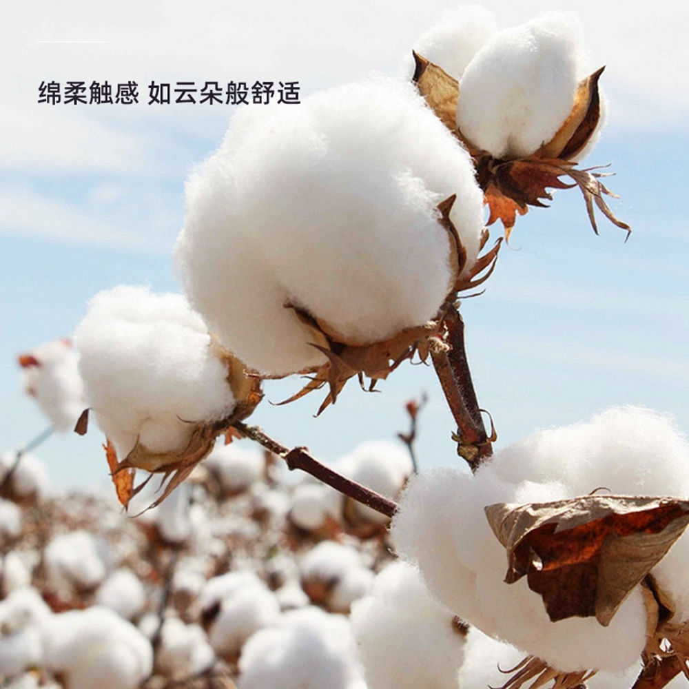 5.0/3.0/2.5mm 고무 헤드 유기농 면 베이컨  - Cotton Wick Organic 리뷰 및 가격